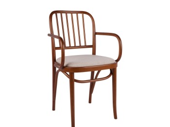 Καρέκλα Olen Plus 