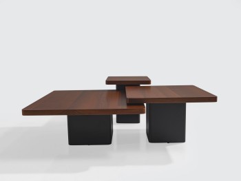 Τραπέζι Σαλονιού Lotus με Ξύλο